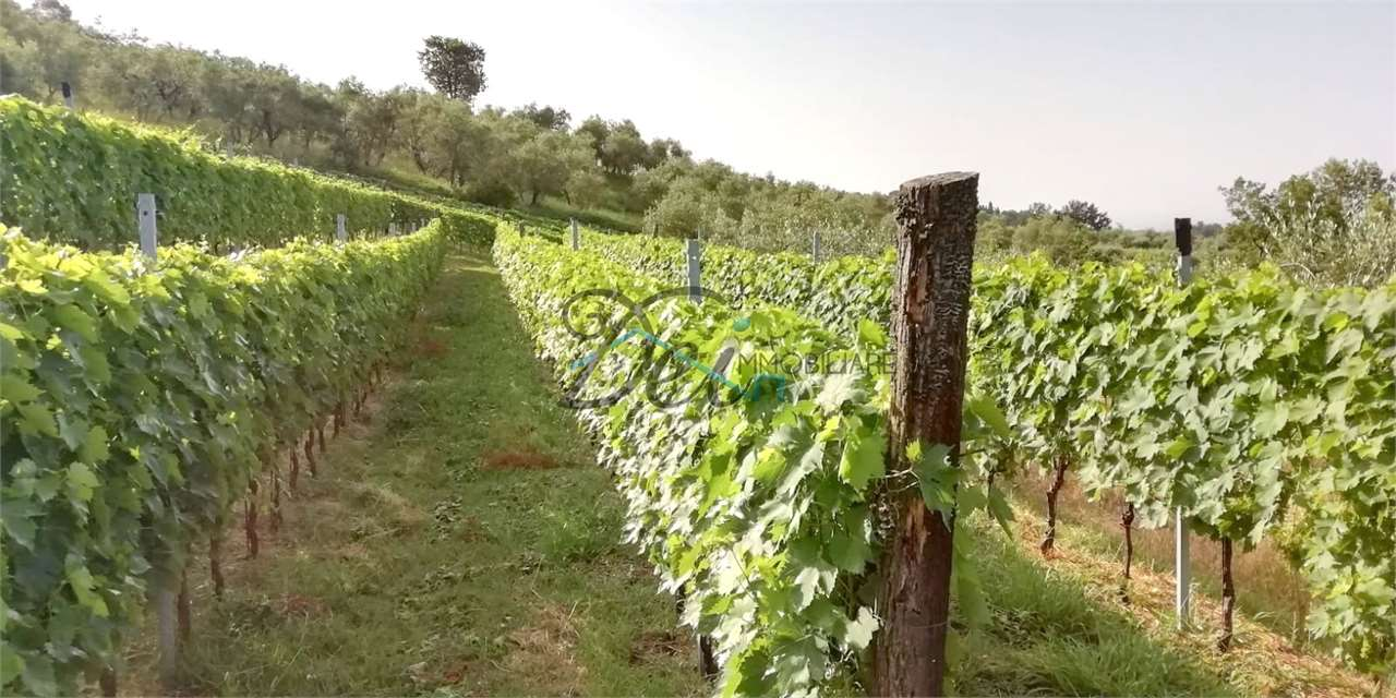 immagine annuncio 1 di 7