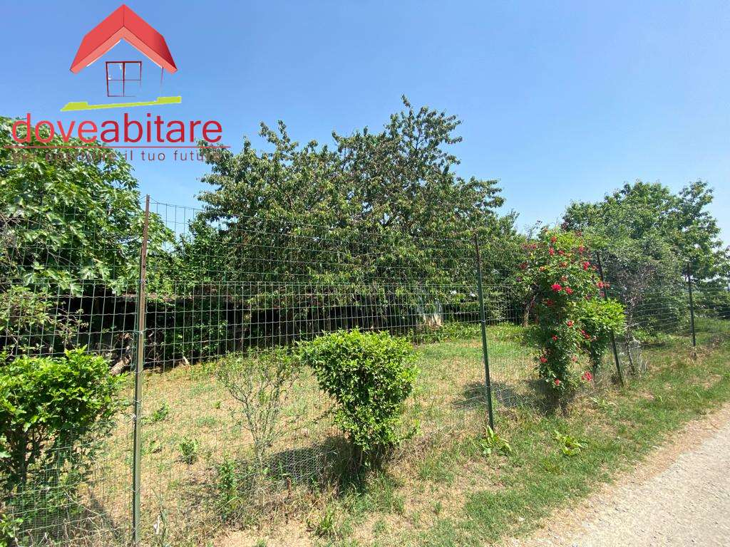 immagine annuncio 2 di 3