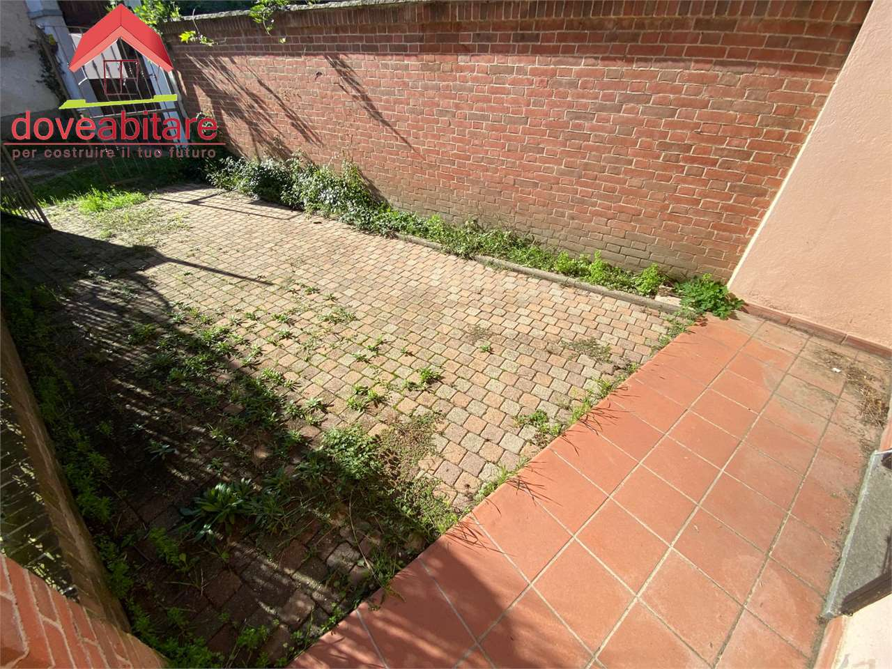 immagine annuncio 3 di 8