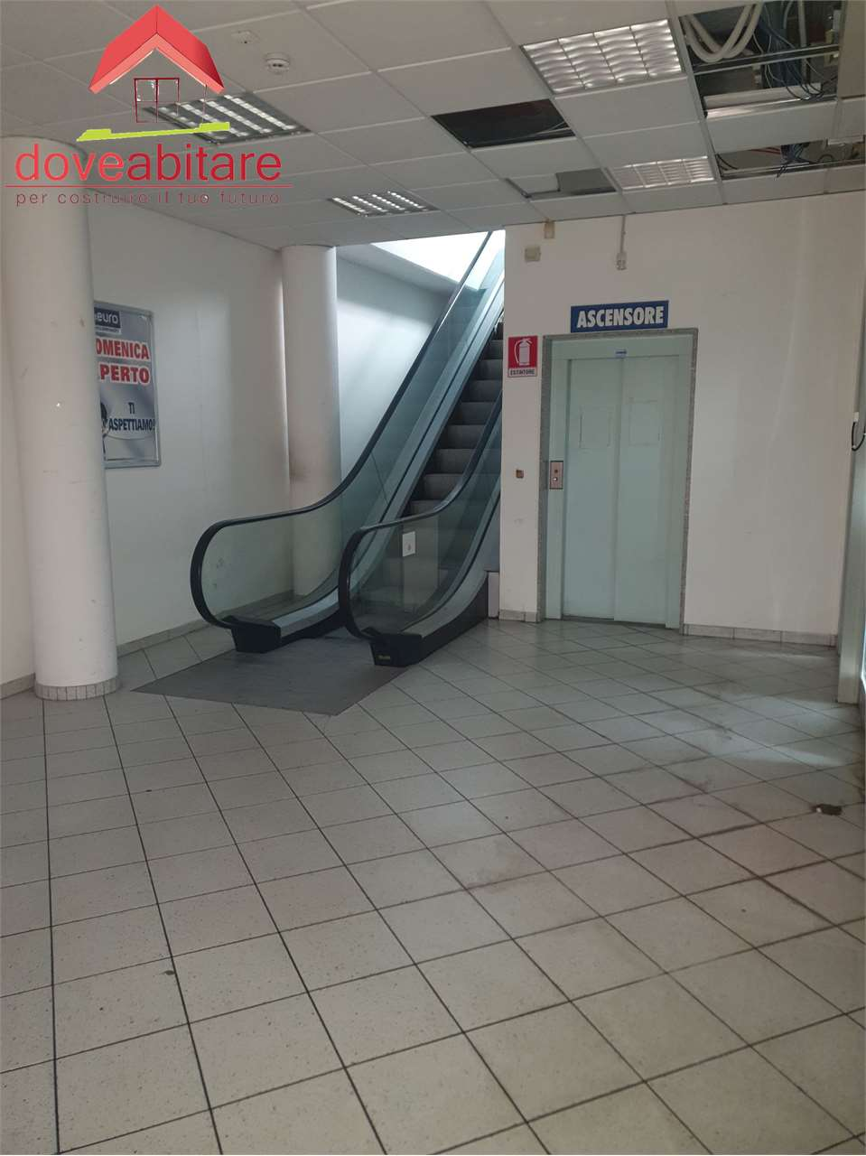 immagine annuncio 2 di 8