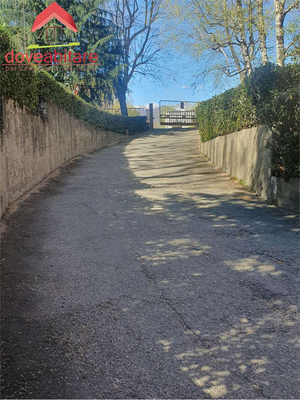 immagine annuncio 2 di 7