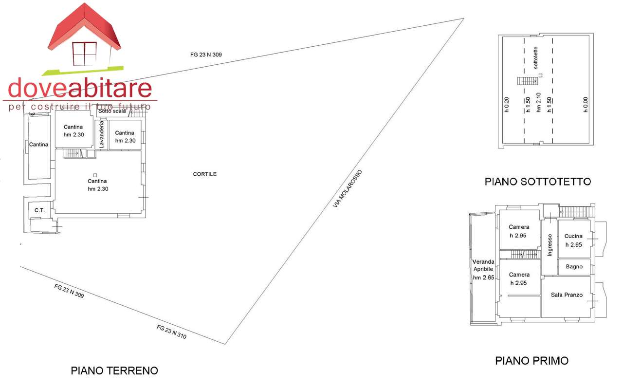 immagine annuncio 5 di 10