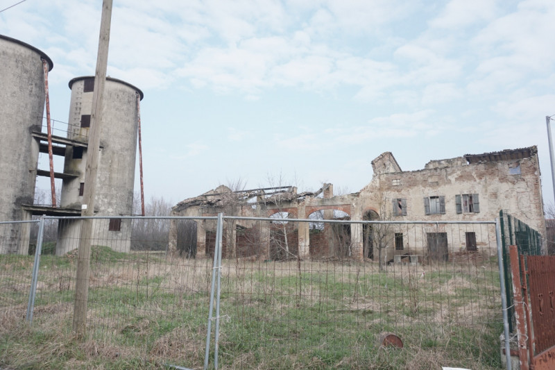 immagine annuncio 5 di 10