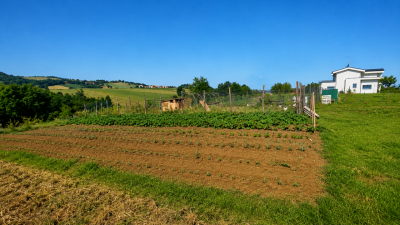 immagine annuncio 6 di 10