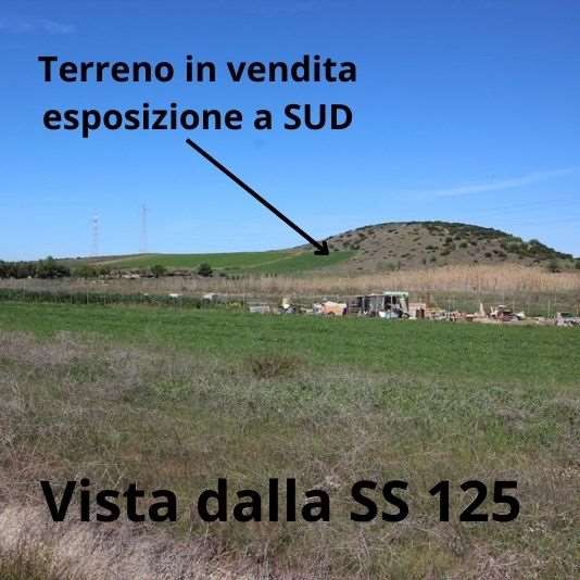immagine annuncio 1 di 2