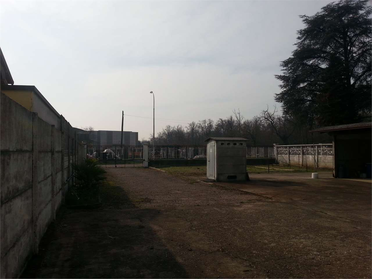 immagine annuncio 7 di 9