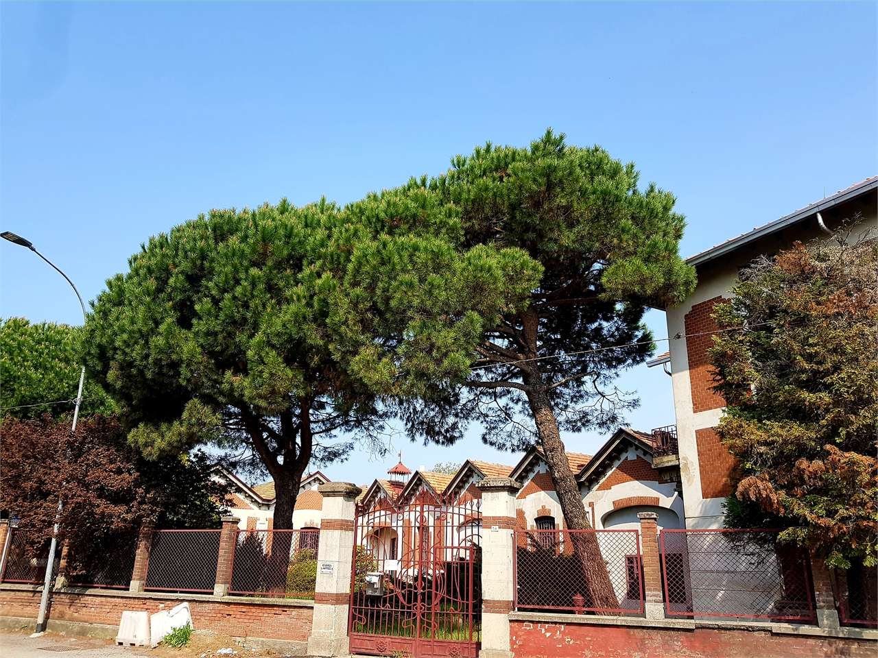 immagine annuncio 1 di 10