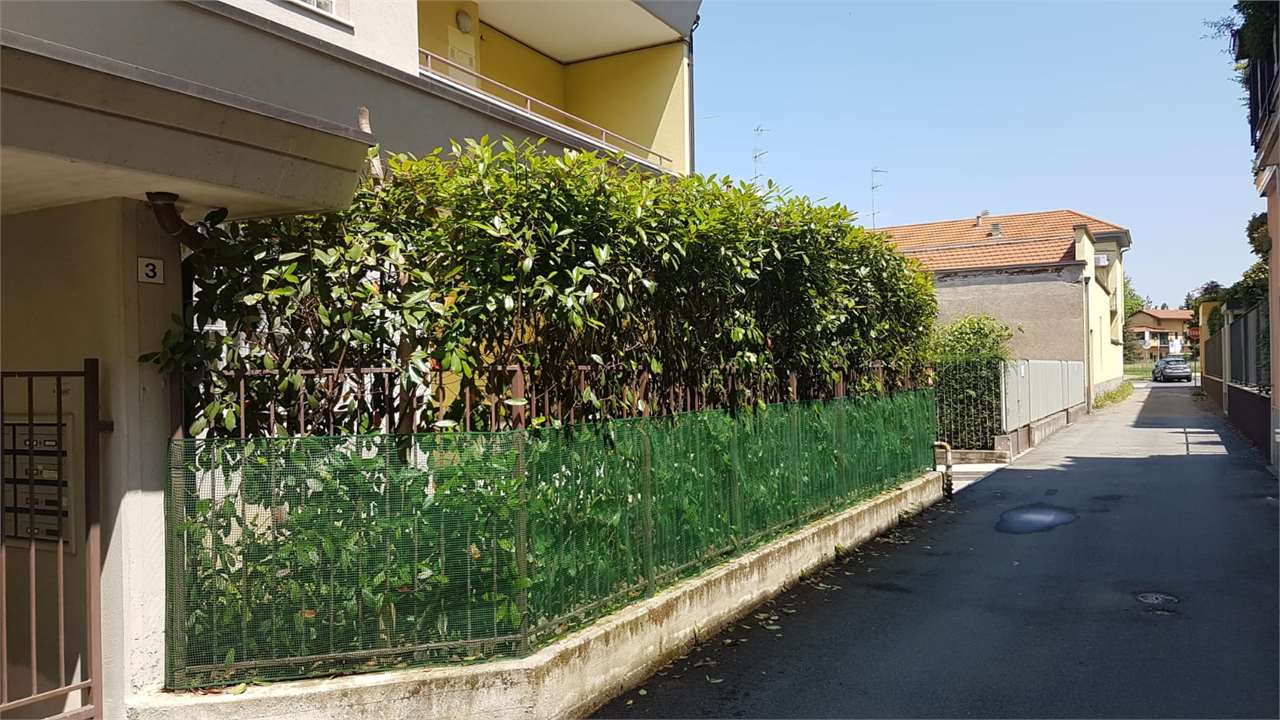 immagine annuncio 1 di 10