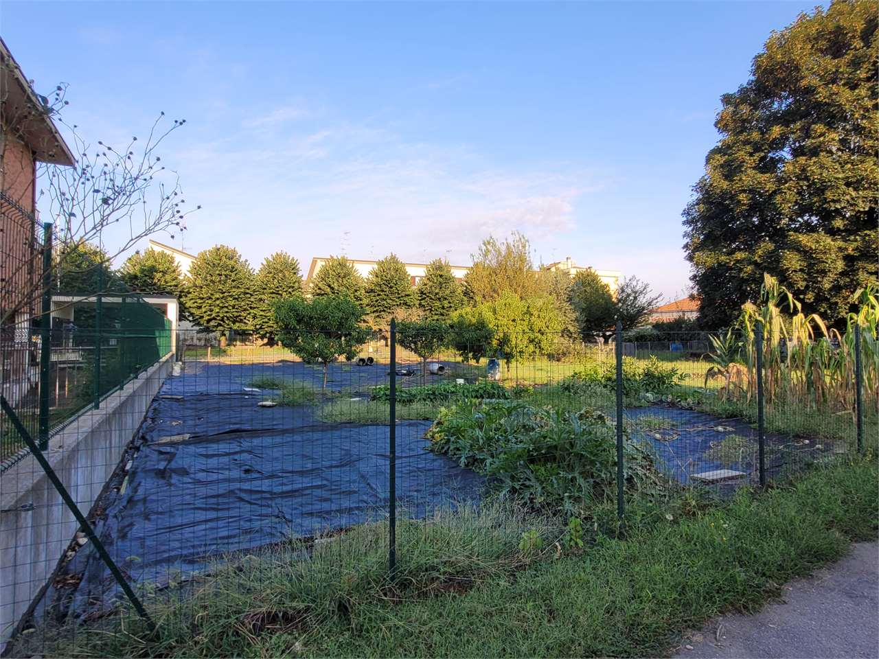 immagine annuncio 7 di 10