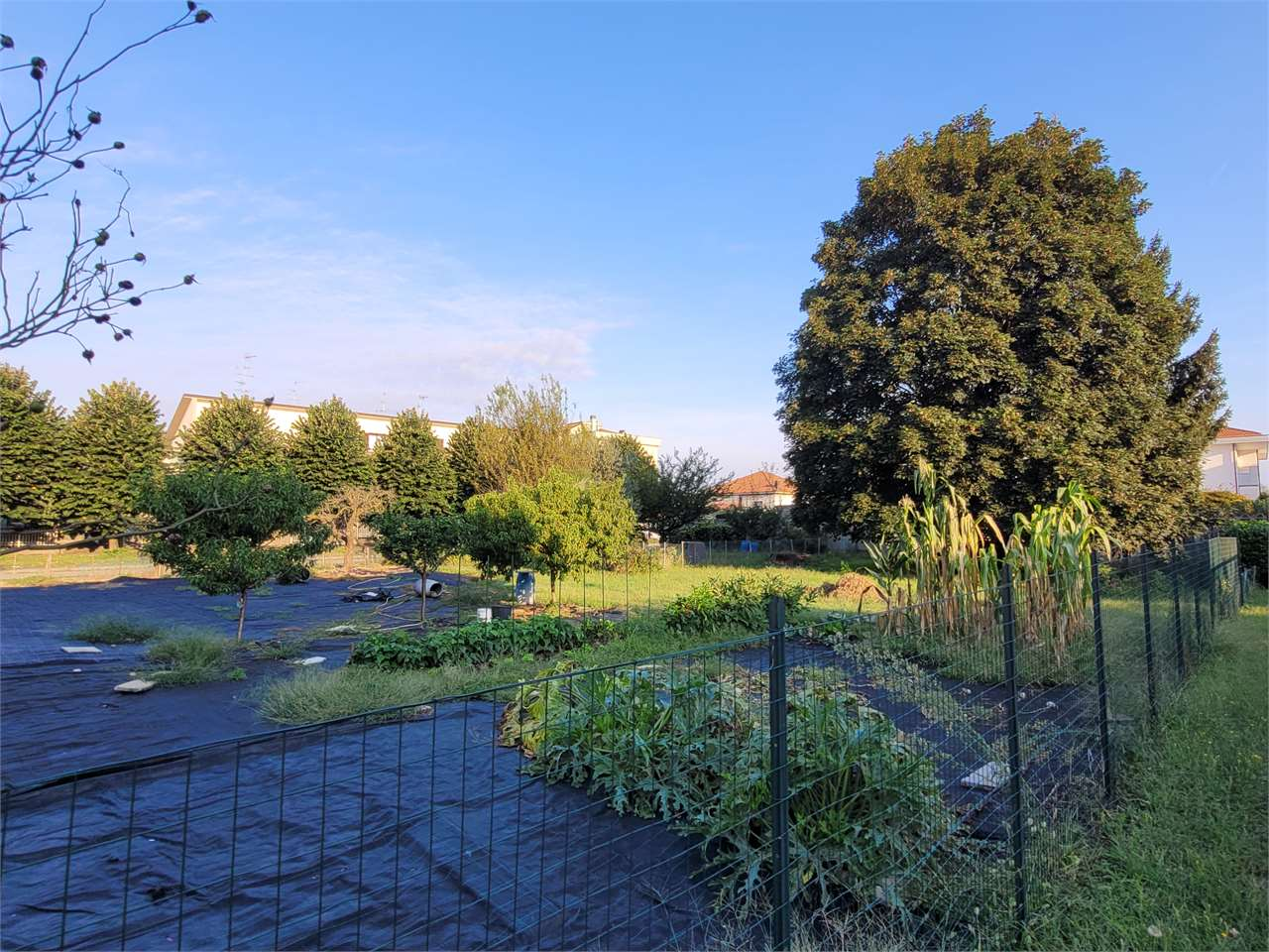 immagine annuncio 8 di 10