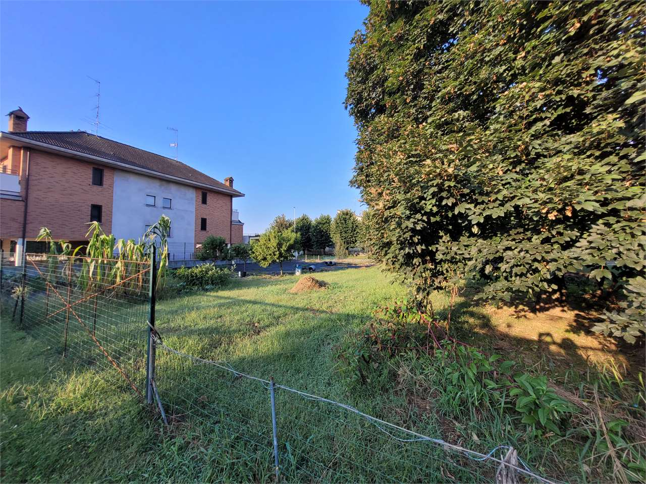 immagine annuncio 9 di 10