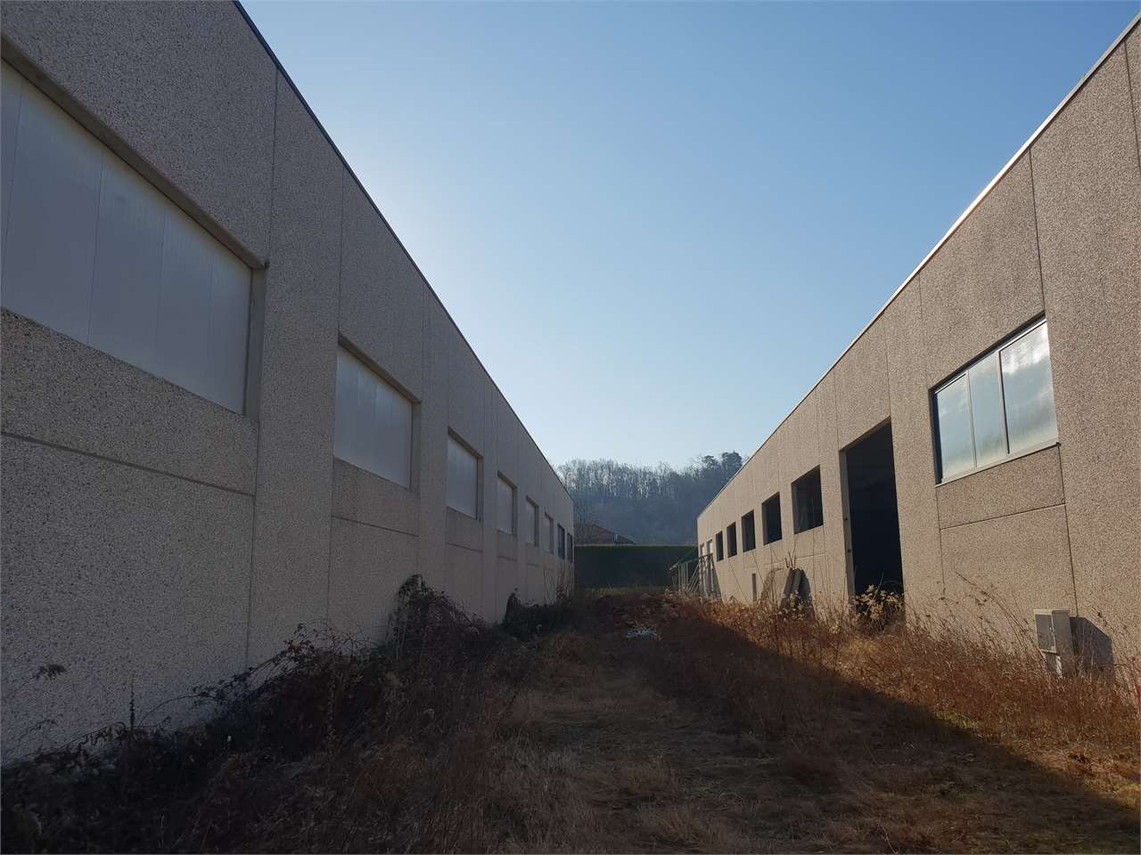 immagine annuncio 1 di 9