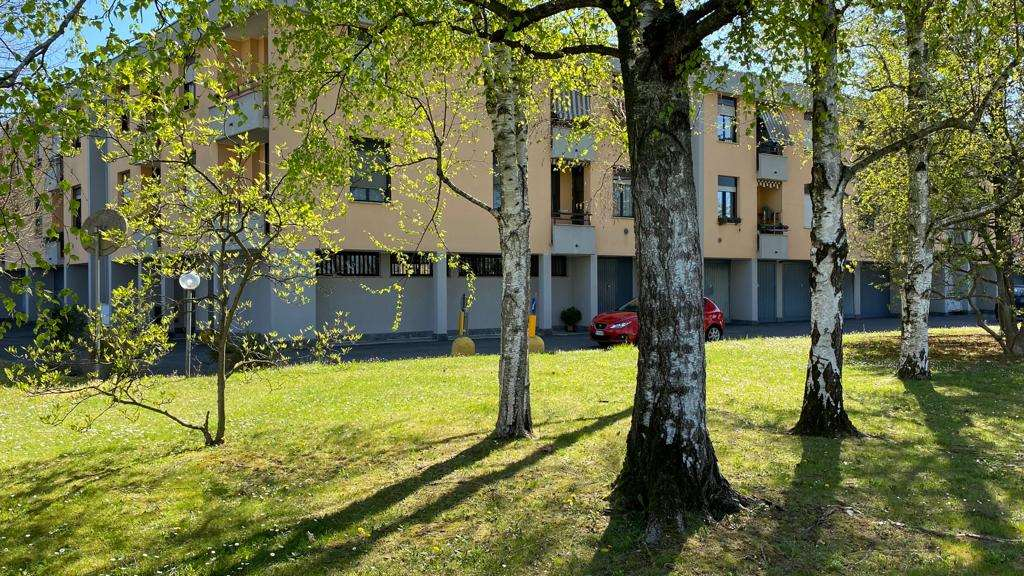 immagine annuncio 3 di 10