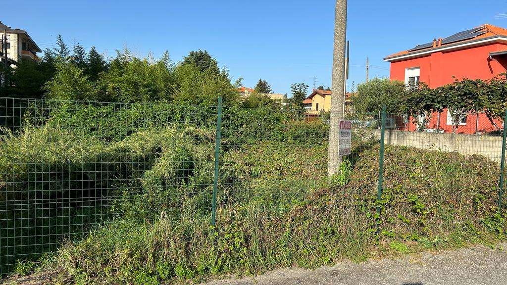 immagine annuncio 1 di 10