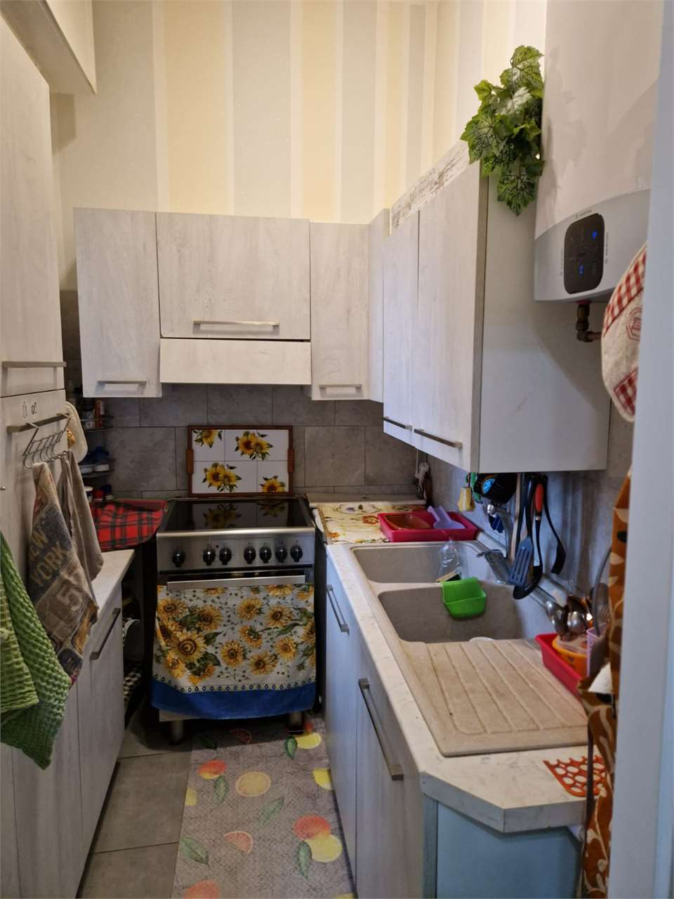 immagine annuncio 4 di 10