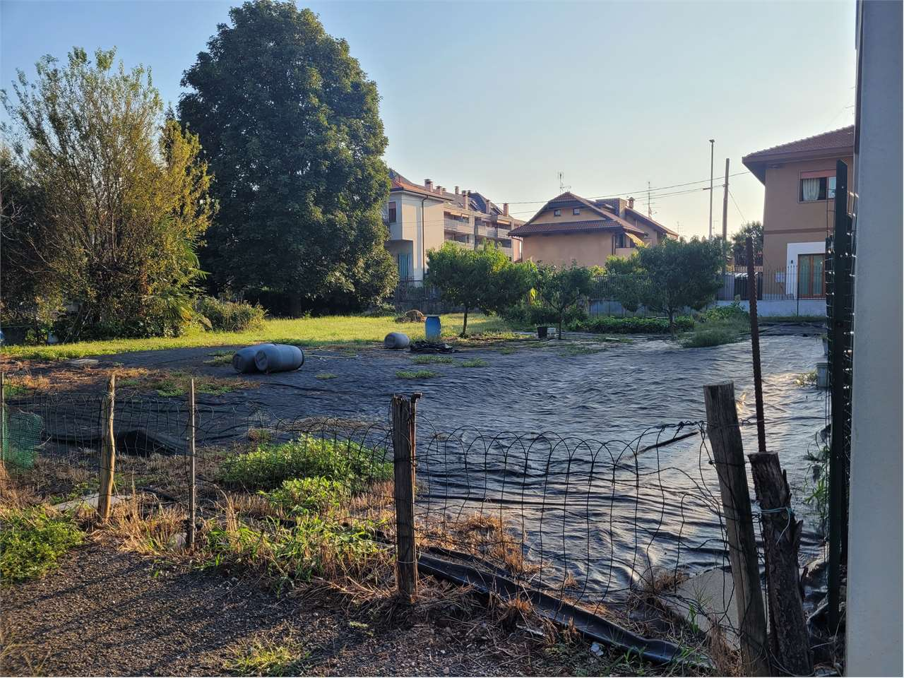 immagine annuncio 1 di 10