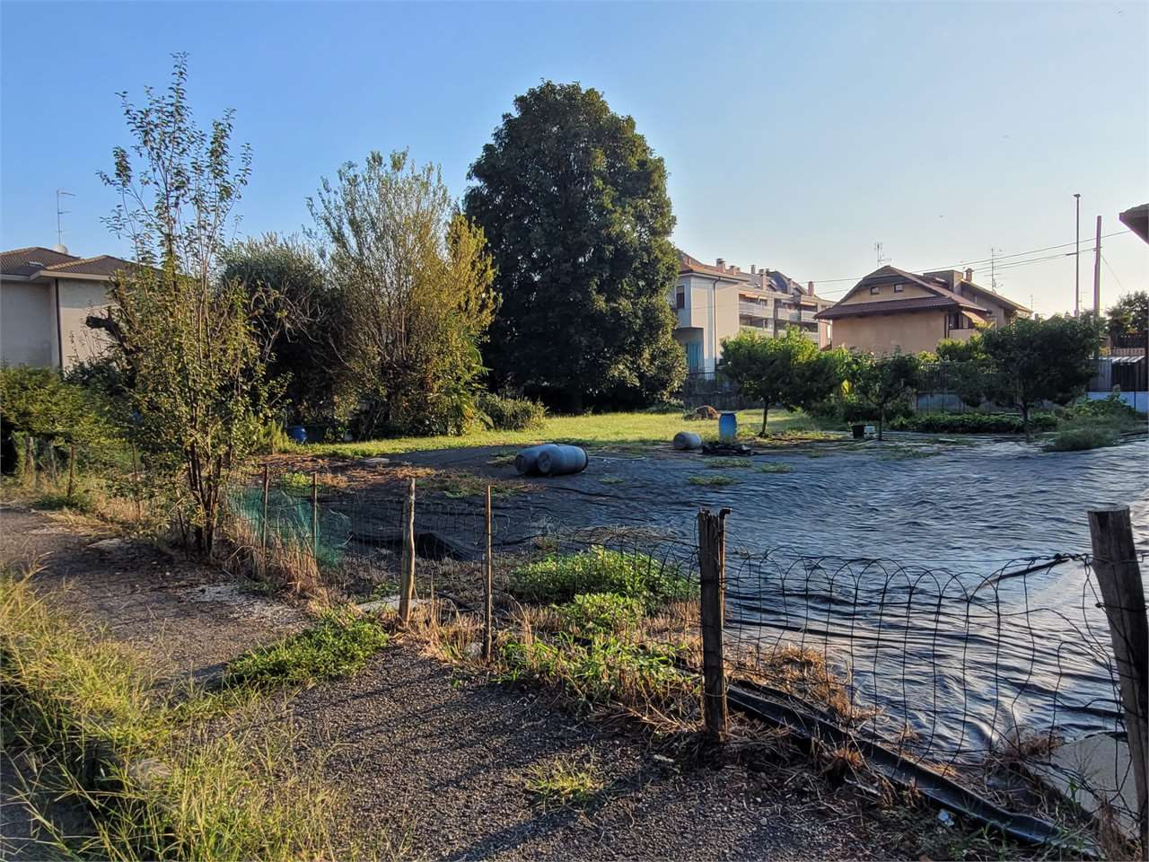 immagine annuncio 3 di 10