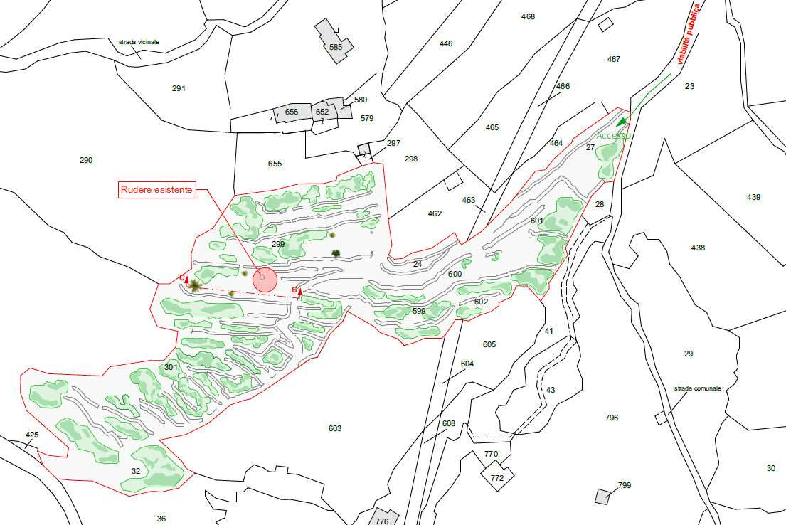 immagine annuncio 9 di 10