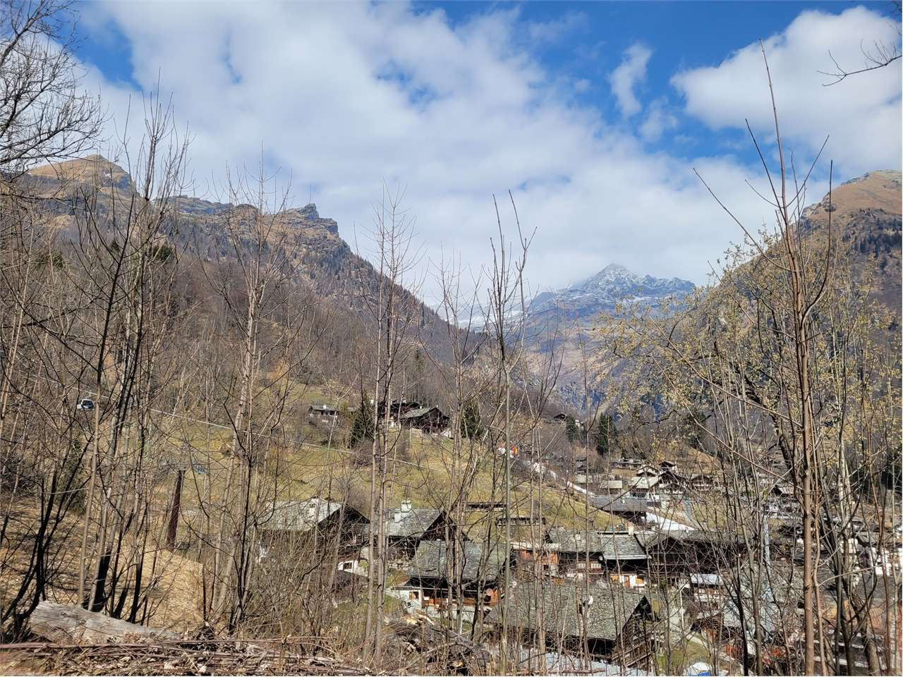 immagine annuncio 6 di 10