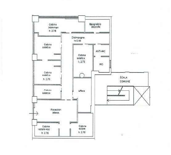 immagine annuncio 2 di 4