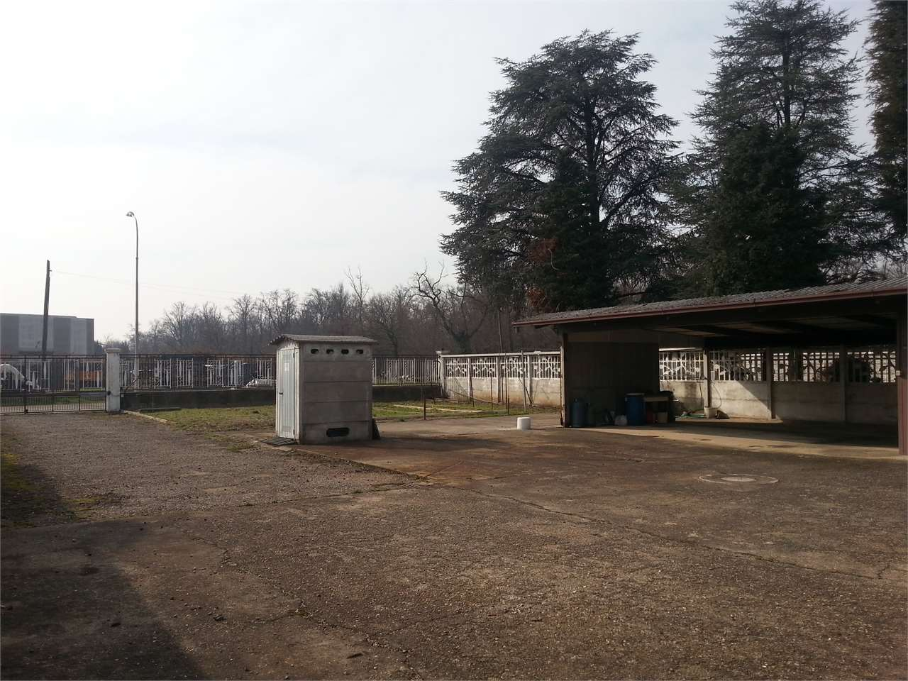 immagine annuncio 4 di 9