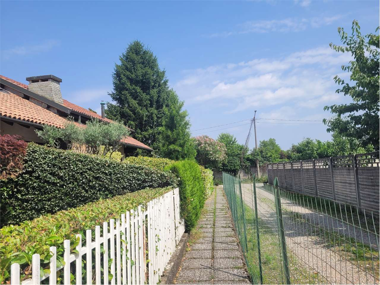 immagine annuncio 5 di 10