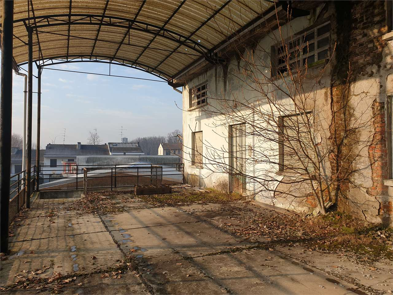 immagine annuncio 7 di 10