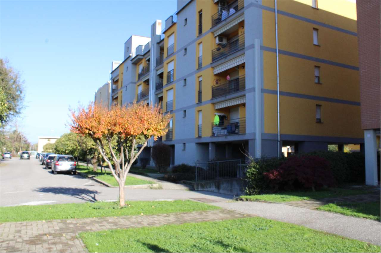 immagine annuncio 2 di 10