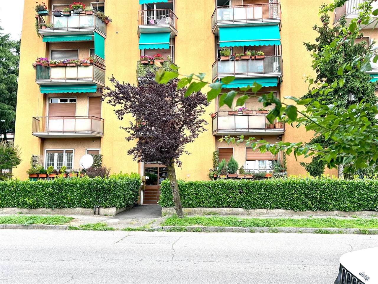 immagine annuncio 2 di 10