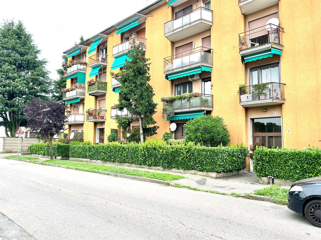 immagine annuncio 3 di 10