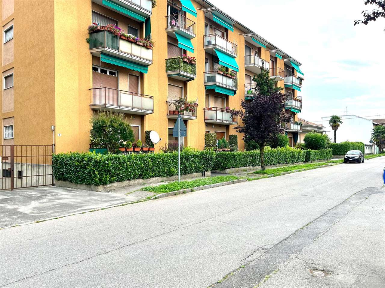 immagine annuncio 4 di 10