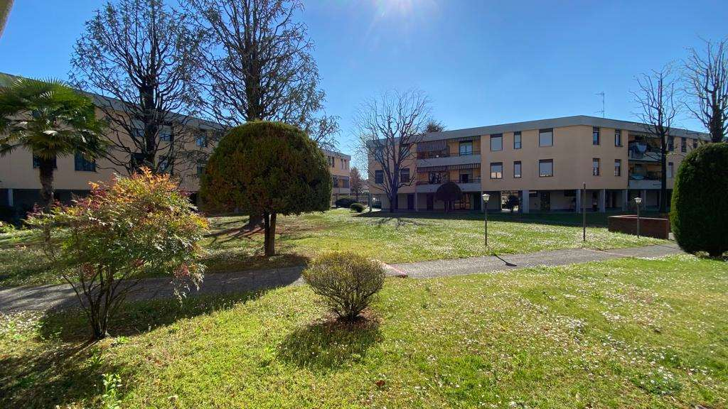 immagine annuncio 2 di 10