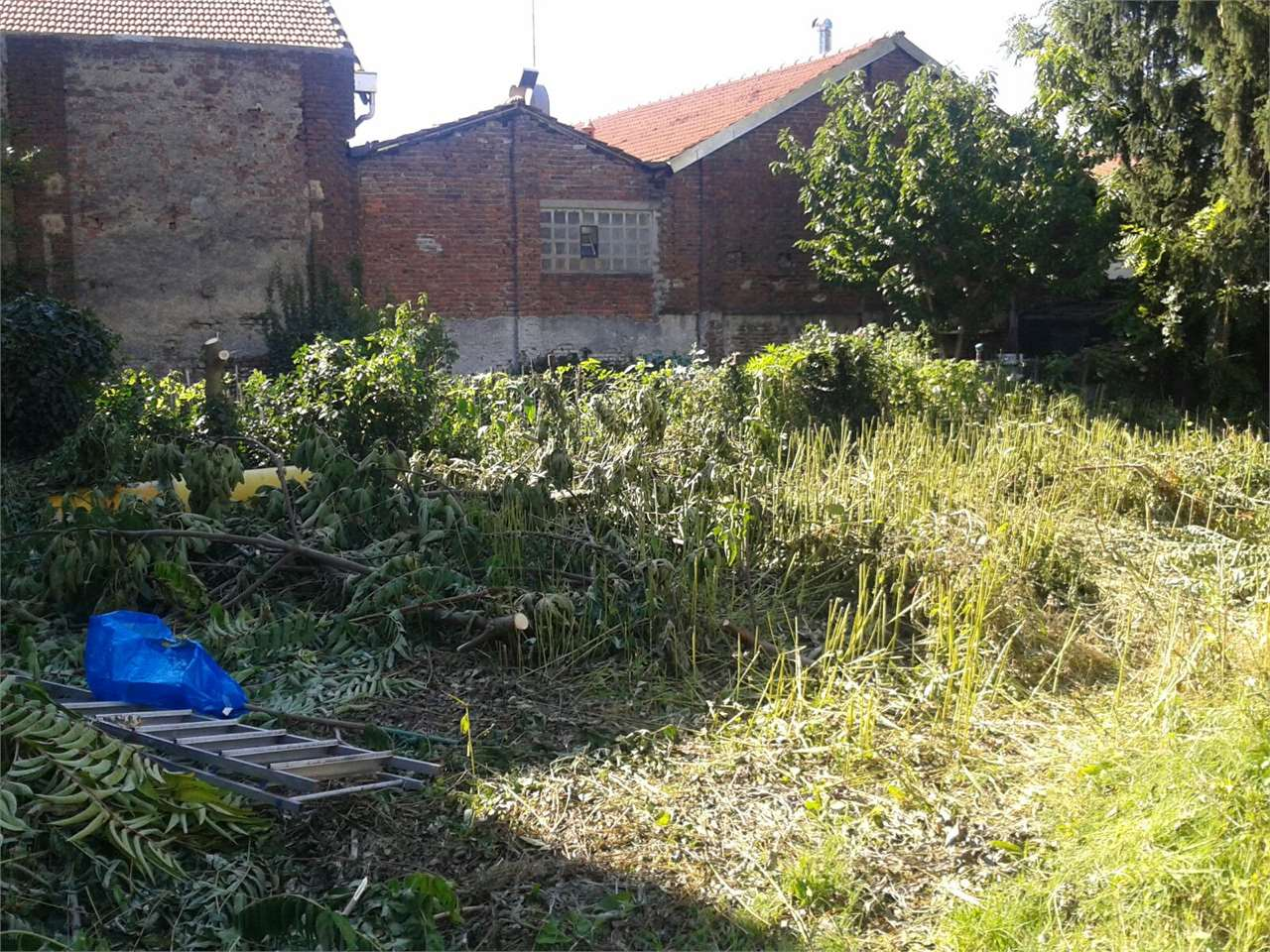 immagine annuncio 6 di 9