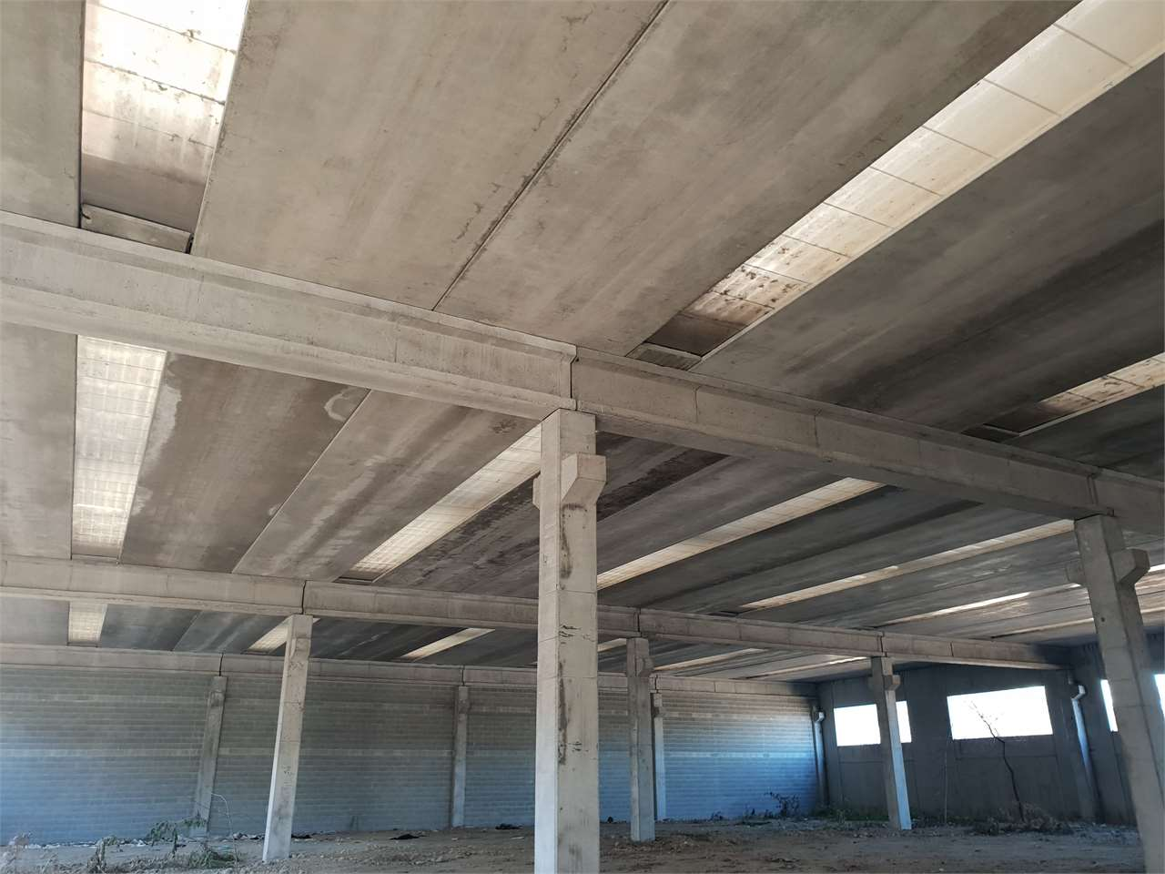 immagine annuncio 8 di 9