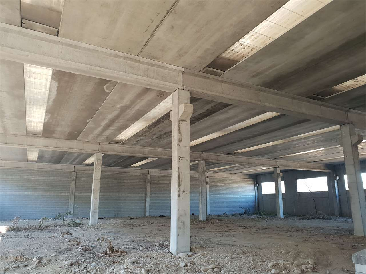 immagine annuncio 7 di 9