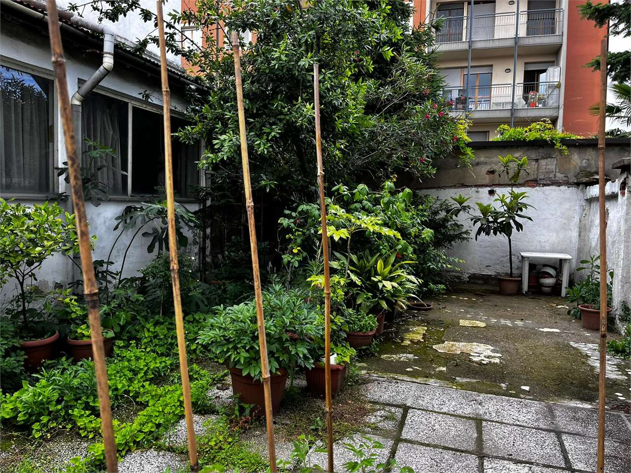 immagine annuncio 6 di 10