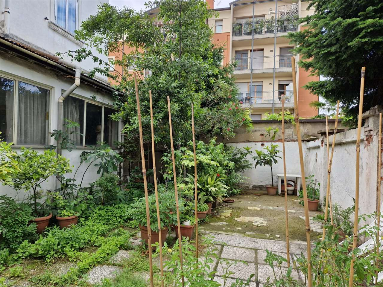 immagine annuncio 3 di 10