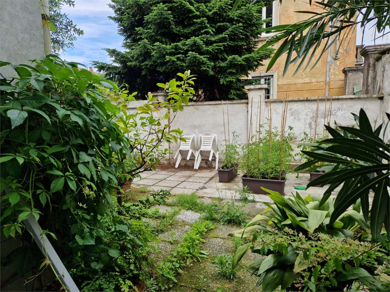 immagine annuncio 7 di 10