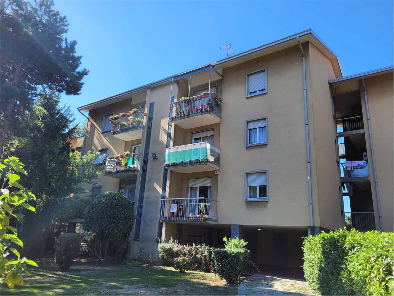 immagine annuncio 1 di 10