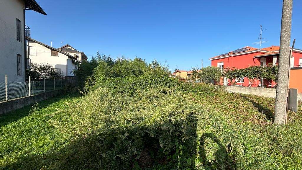 immagine annuncio 2 di 10