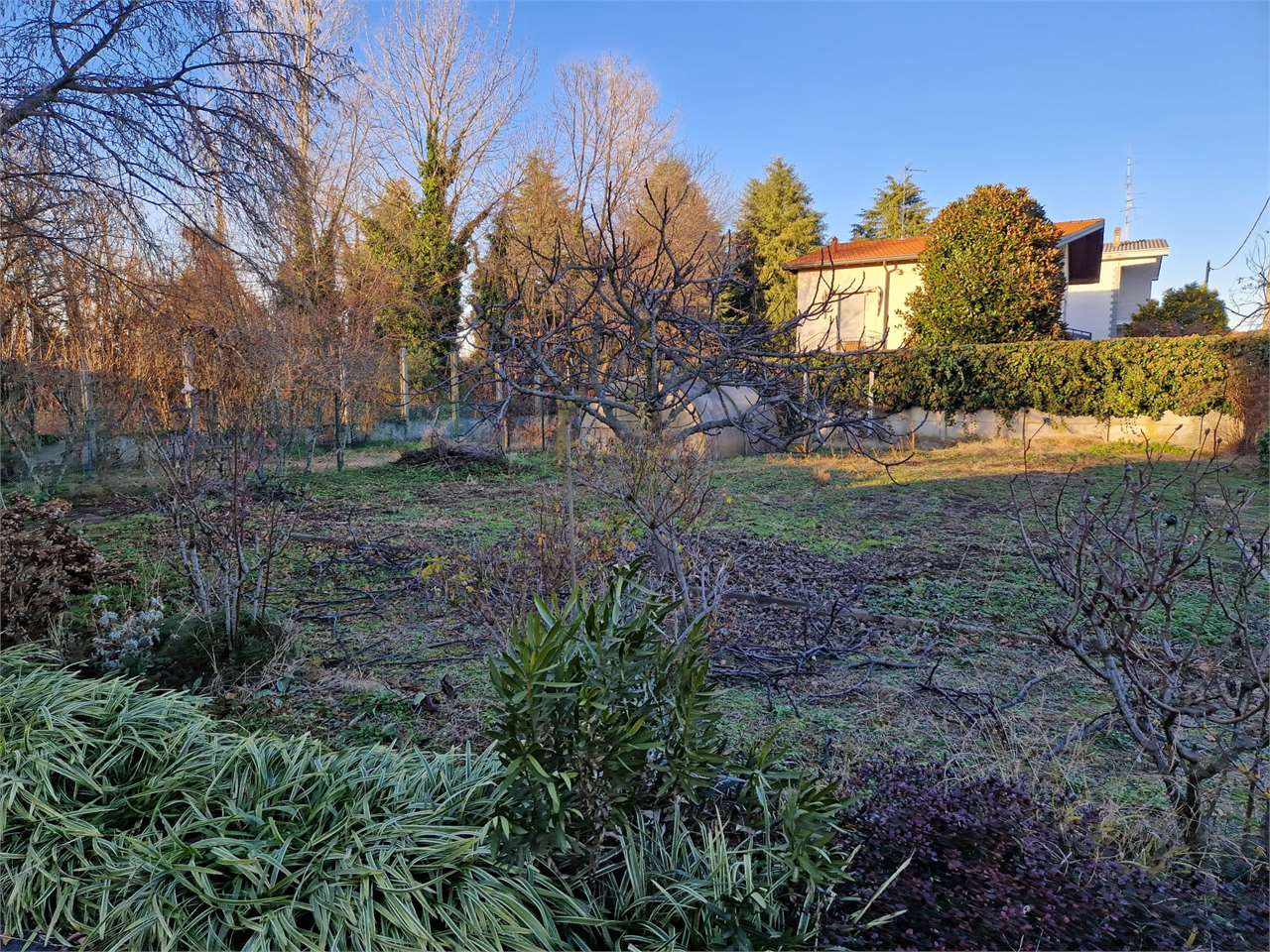 immagine annuncio 8 di 10