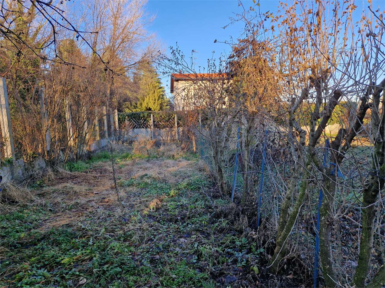 immagine annuncio 9 di 10