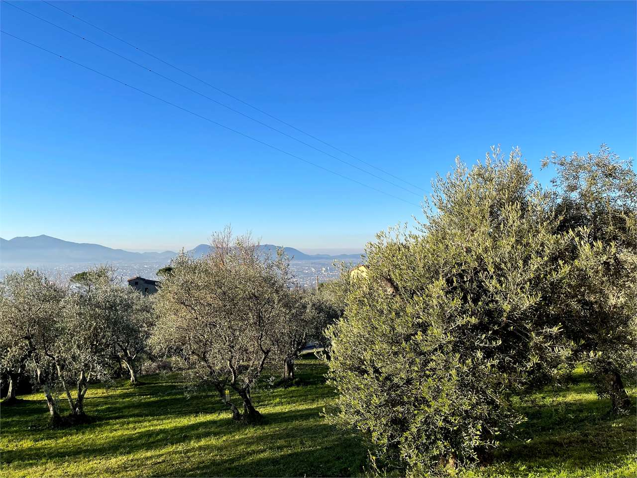 immagine annuncio 0 di 10