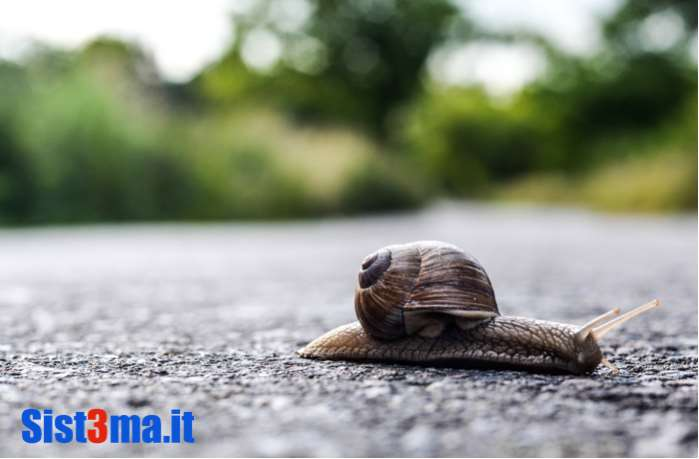 immagine annuncio 3 di 9