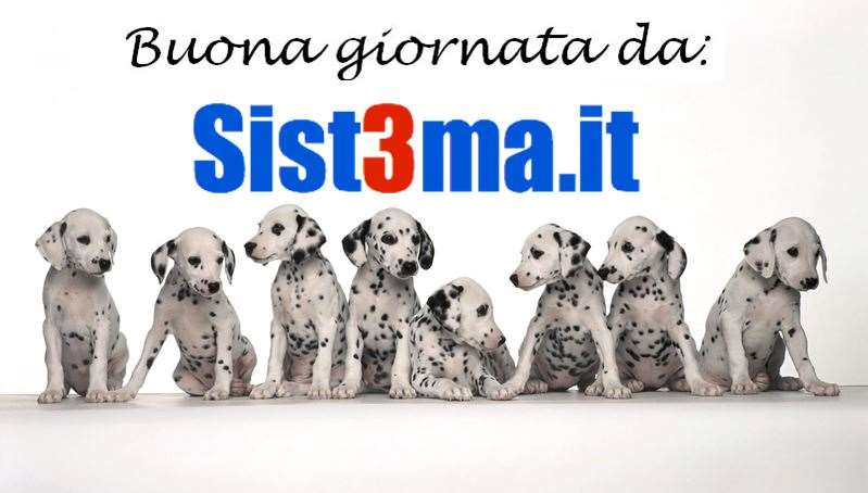 immagine annuncio 5 di 9