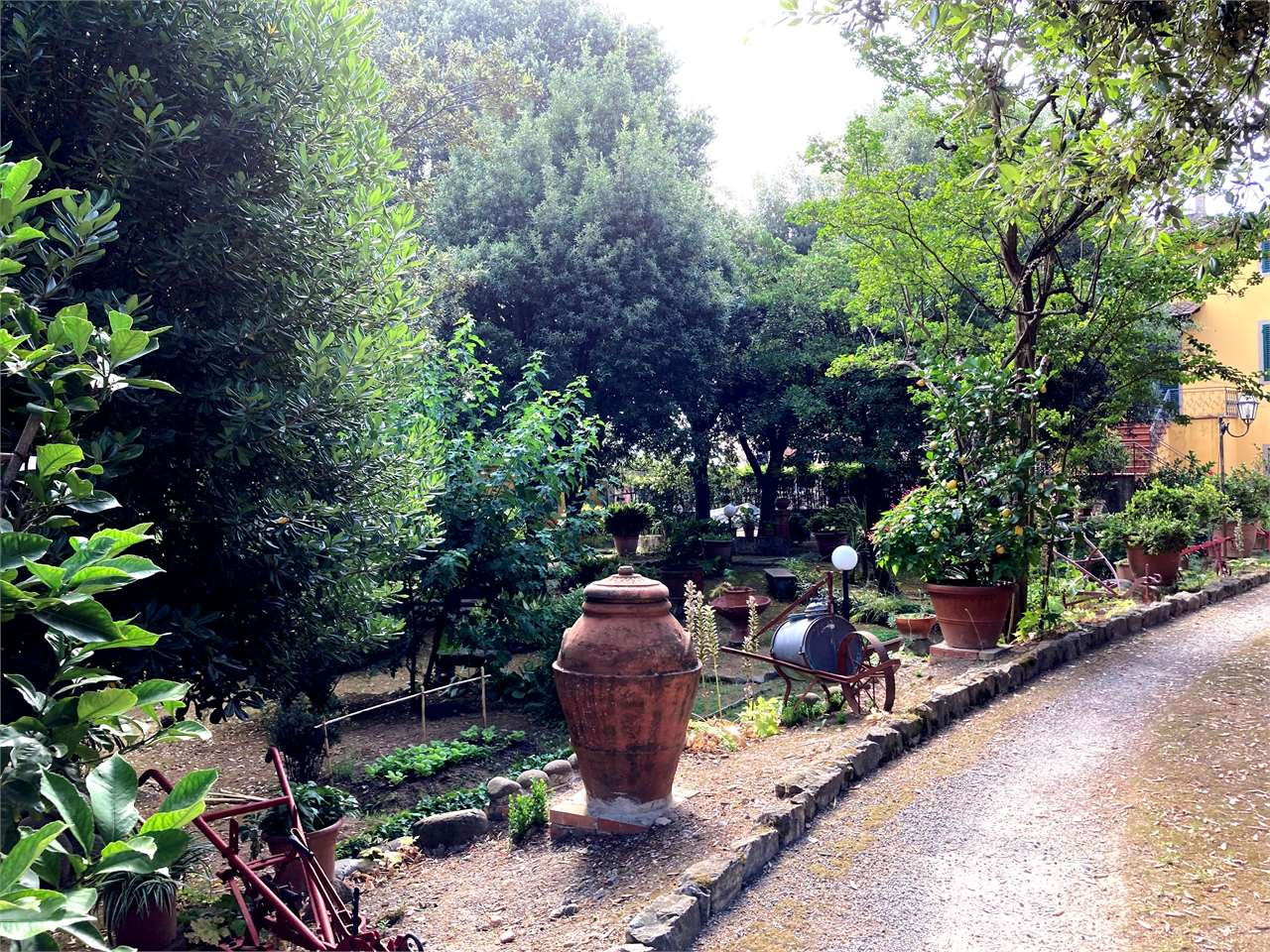 immagine annuncio 2 di 10