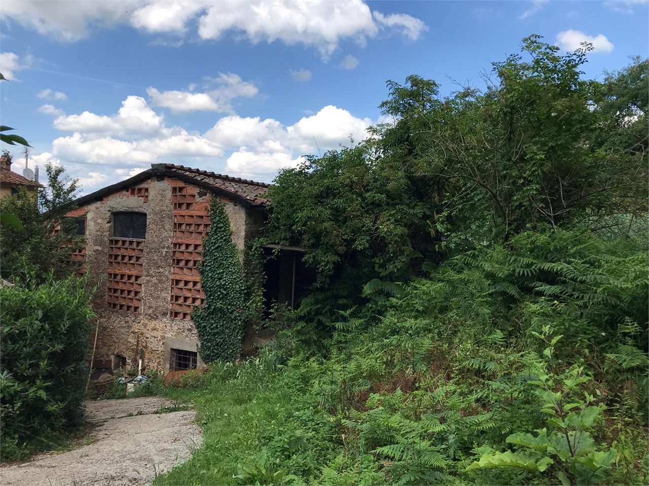 immagine annuncio 2 di 9