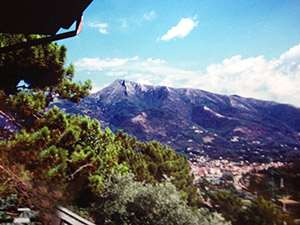 immagine annuncio 5 di 9