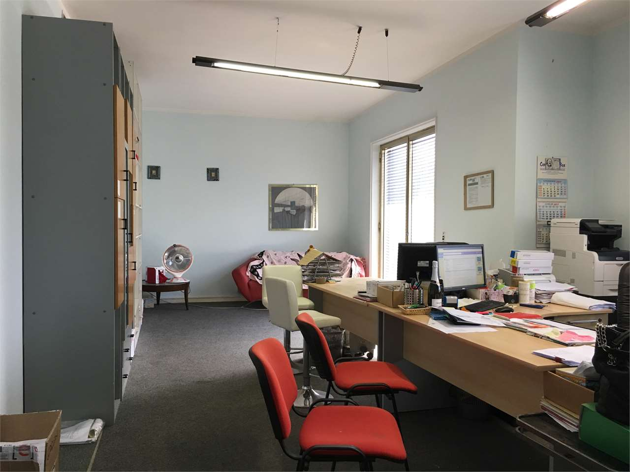 immagine annuncio 5 di 7