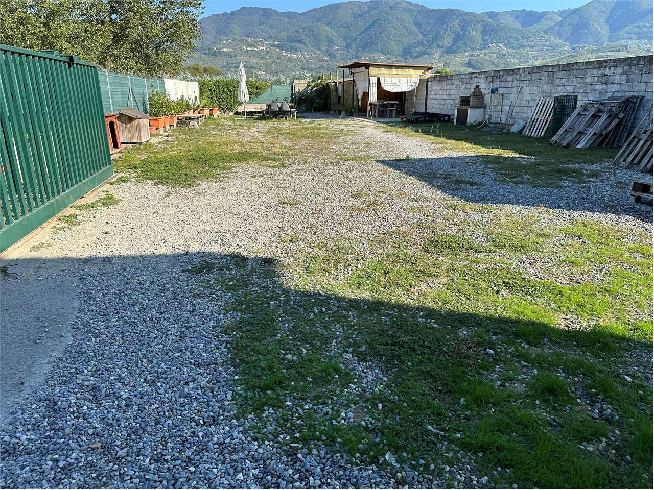 immagine annuncio 6 di 7